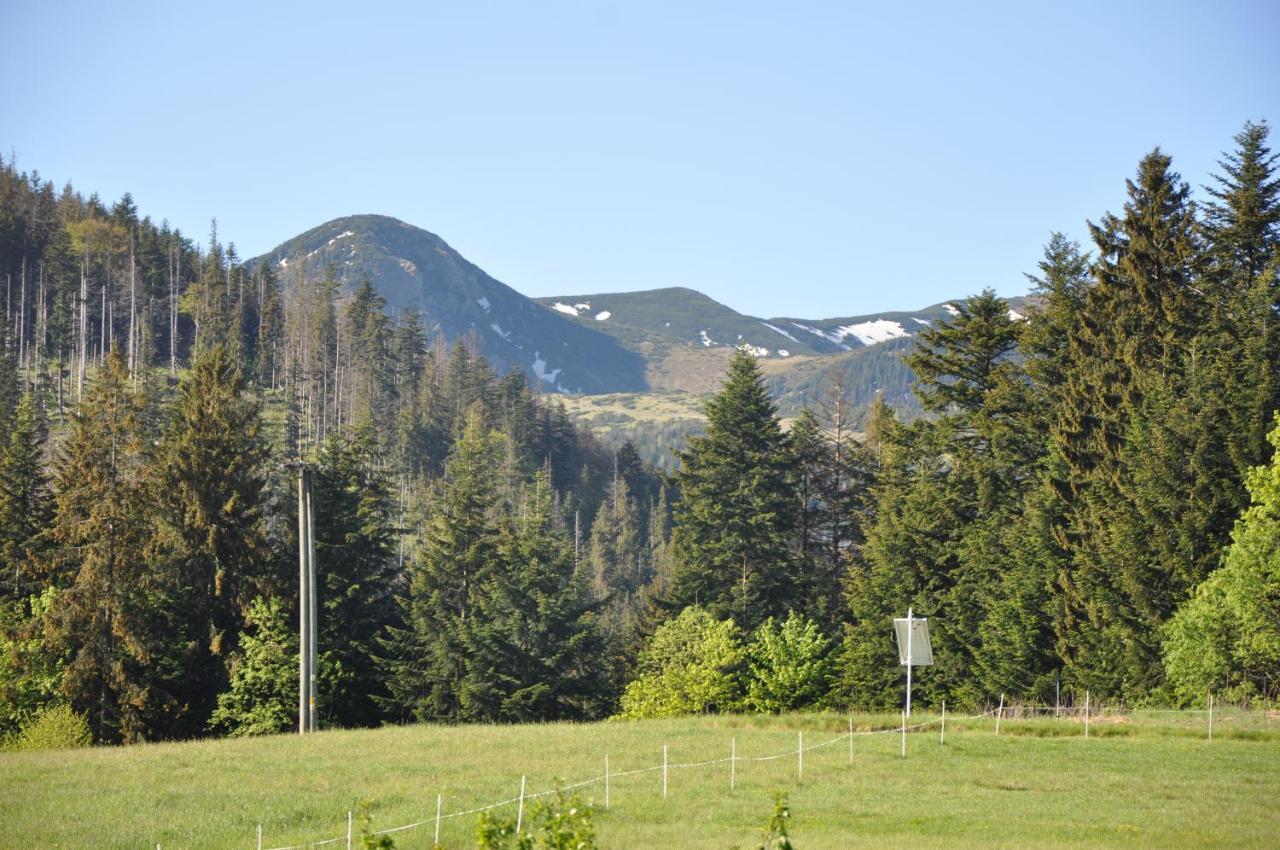 Apartamenty "U Blizniakow" Zakopane Bagian luar foto