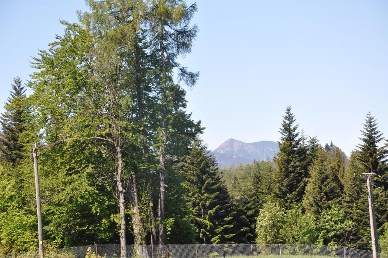 Apartamenty "U Blizniakow" Zakopane Bagian luar foto