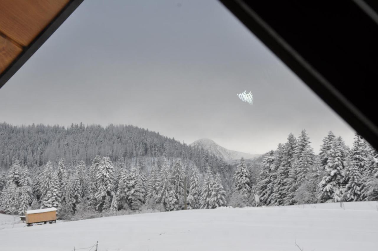 Apartamenty "U Blizniakow" Zakopane Bagian luar foto