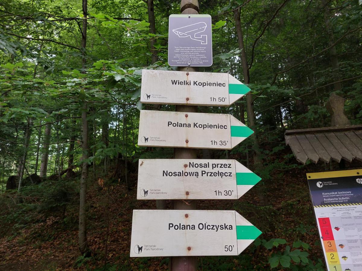 Apartamenty "U Blizniakow" Zakopane Bagian luar foto