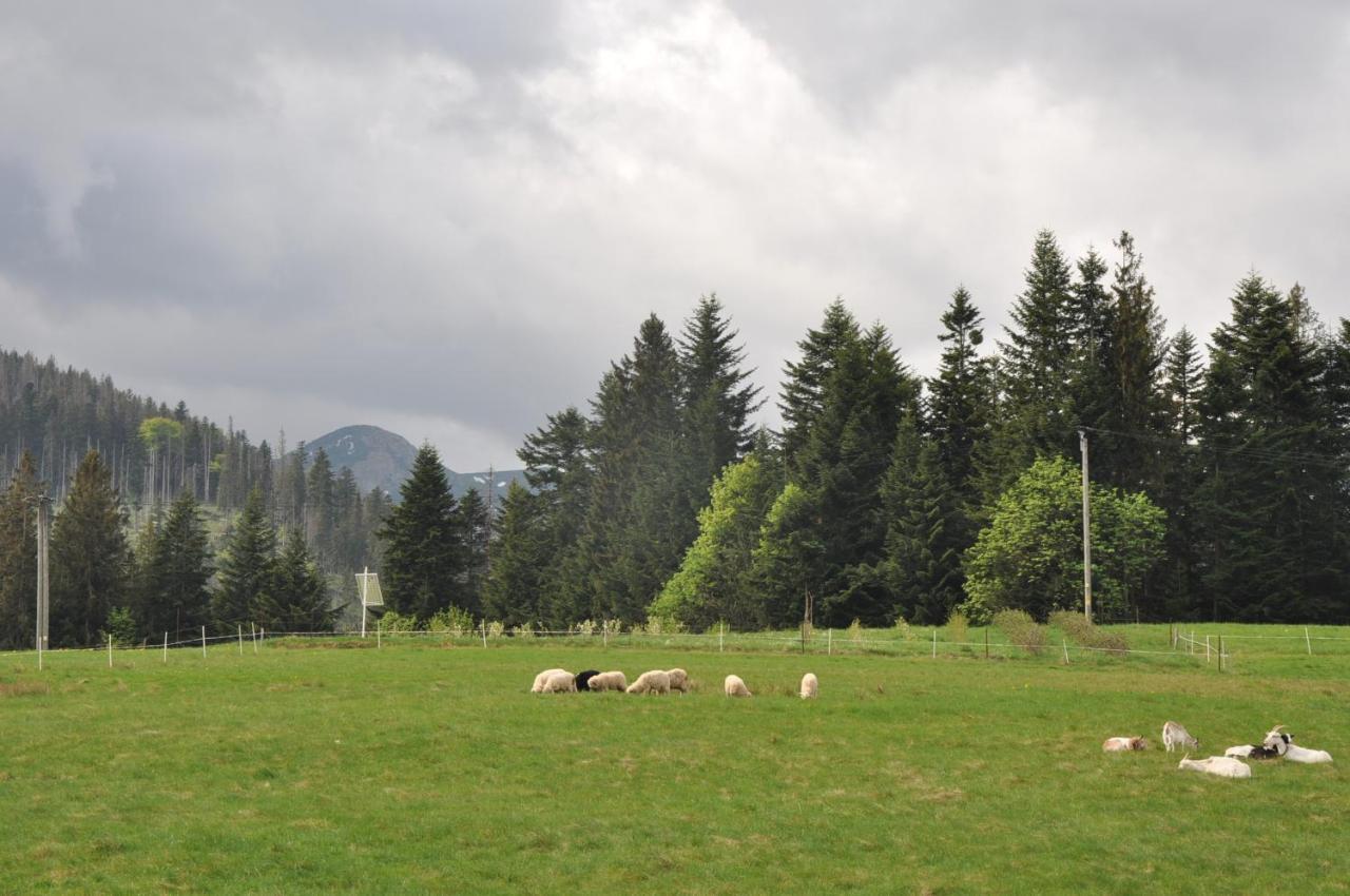 Apartamenty "U Blizniakow" Zakopane Bagian luar foto