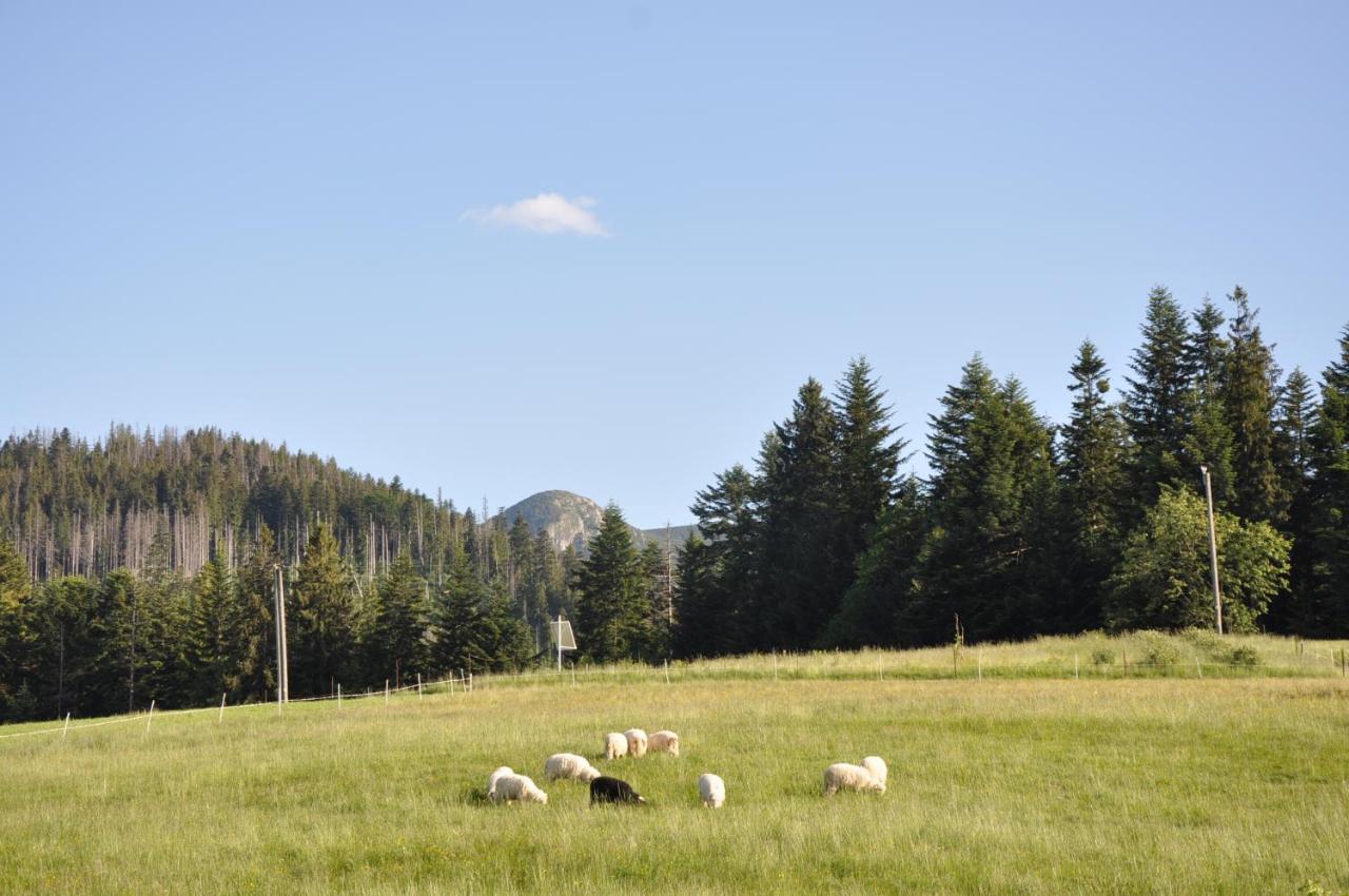 Apartamenty "U Blizniakow" Zakopane Bagian luar foto